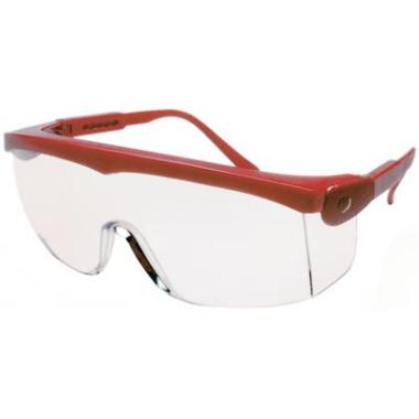 MSA Perspecta 1070 veiligheidsbril (per 12 stuks)